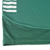 Шорти SELECT Spain v25 player shorts Green